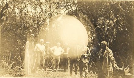 Tararua Working Party - Resource cover image