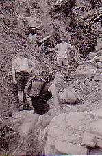 Members of tramping club clearing bush track, October 1936