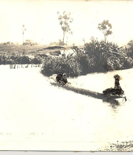 Eel weir and canoe on Hokio Stream, 1900