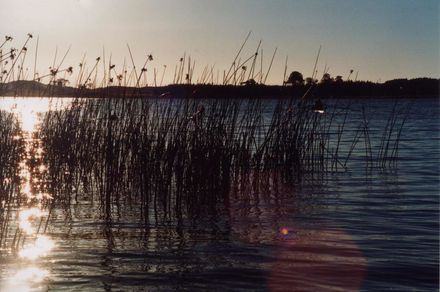 Lake Horowhenua - Resource cover image