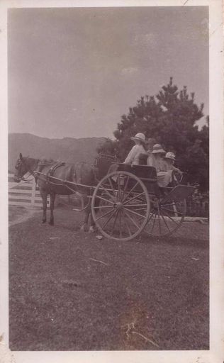 Four people riding in horse-drawn gig