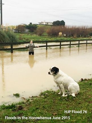Flood 76 Te Horo resident Anna Dent stands in the flooded Mangaone stream that nearly flooded her property photo by Anna Dent