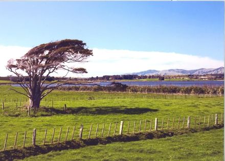 View from Retter / Procter farm.