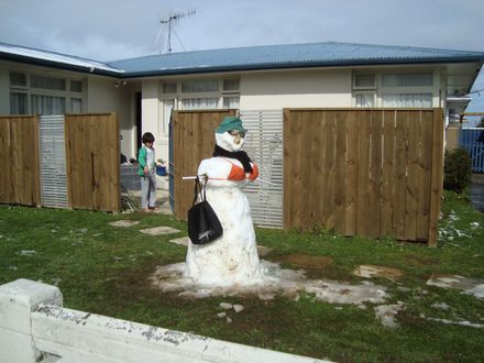 Snow creation - Bartholomew Road, Levin - Resource cover image