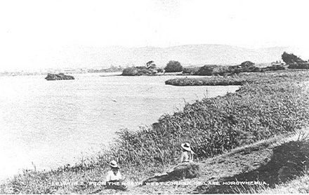 North-West corner of Levin - Resource cover image