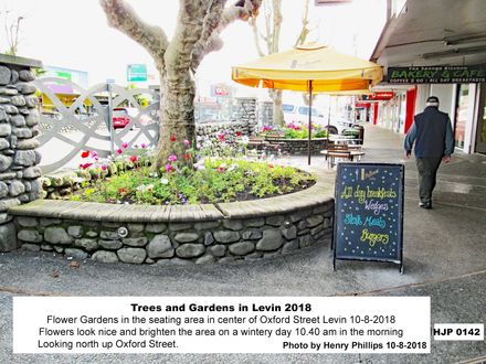 HJP 0142  Flower Gardens in the seating area in center of Oxford Street Levin 10-8-2018 - Resource cover image