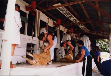 Horowhenua A P& I Show, 2002