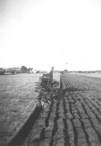 Ploughed furrows - Resource cover image