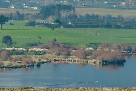 100% scale portion of Panoramic Image # 3 - Resource cover image