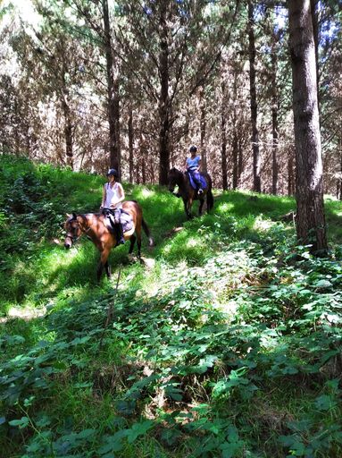 Horse riding in Target Reserve, Foxton - #CaptureYourHorowhenua - Resource cover image