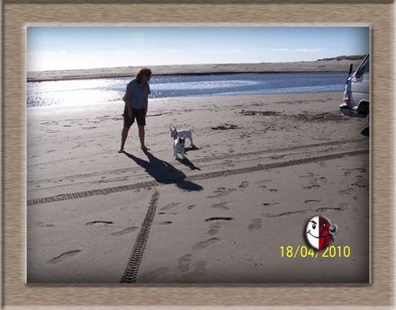 Bullies 4 Me - Resource cover image