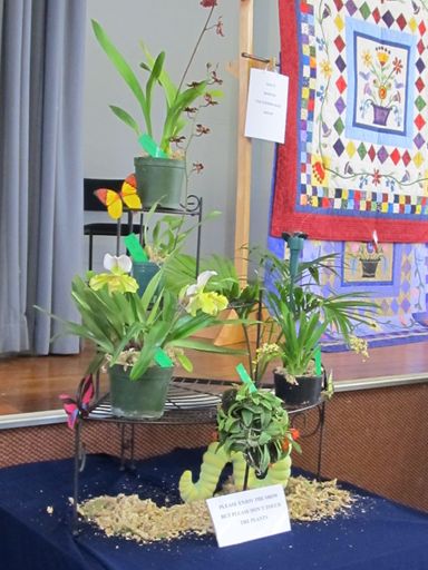 The Levin Orchid society show August 2012 0255 - Resource cover image