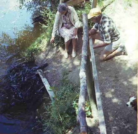 Kingsbury Collection - early 1980 - New Zealand - Nelson & New Plymouth.