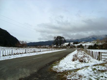 Venturing out - looking up Gladstone Road by reserve, Levin - Resource cover image