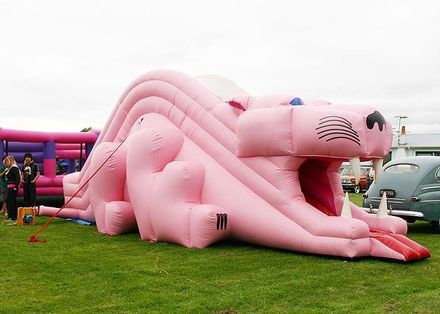 Pink drgaon bouncy castle / slide