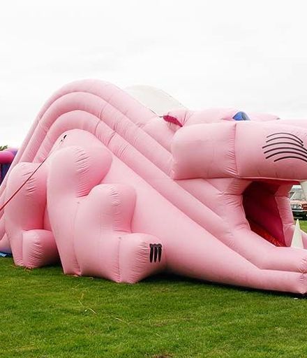 Pink drgaon bouncy castle / slide