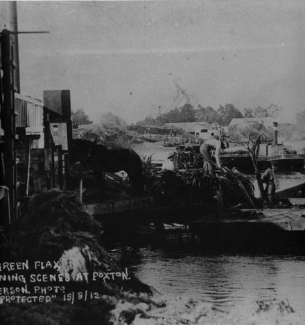 Onloading Green Flax, Foxton, 1912
