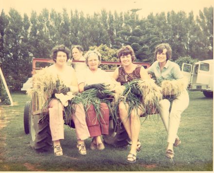 4 women (unidentified) sitting on back of tractor holding onion plants, c.1973
