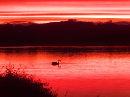 Sunset at Punahau - #CaptureYourHorowhenua - Resource cover image