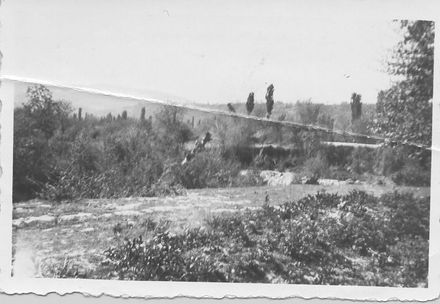 Edhessa District 16/04/1946 - Resource cover image