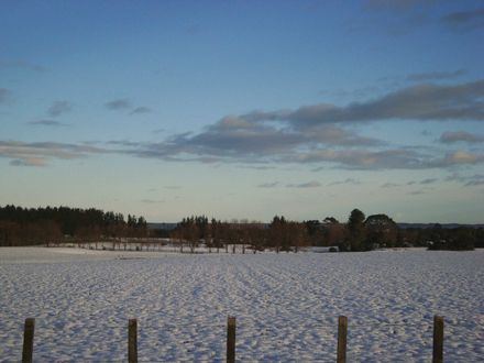 Waking up to snow looking towards farm - Resource cover image