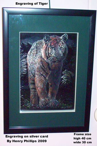 Tiger on silver engraving, art