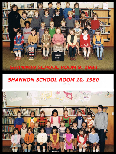 Shannon School 1980 - Resource cover image