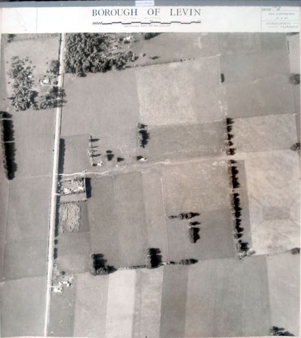 Aerial survey photograph (Levin)