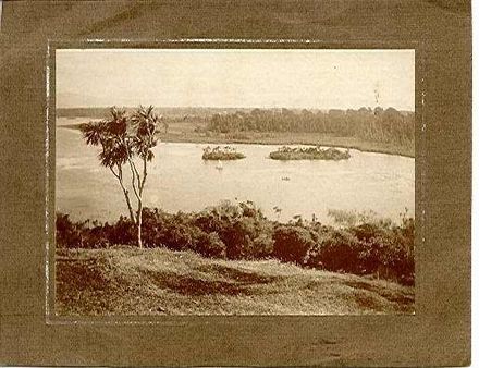 Lake Horowhenua - view of islands