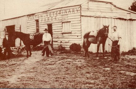 Veterinary Forge, Foxton, 1904