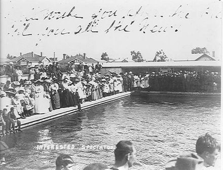 Swimming Pool, Levin