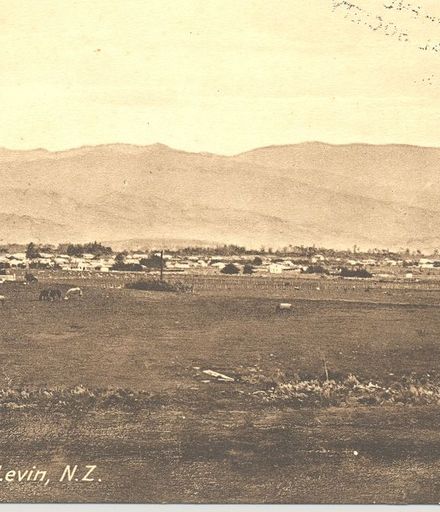 Postcard Panorama of Early Levin