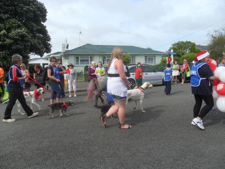 SPCA Christmas Parade 2011 - 4