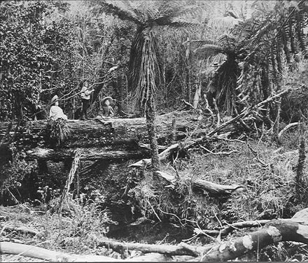 Three Adkin children and their mother in bush, 'Cheslyn Rise'.