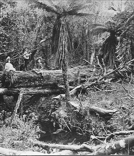 Three Adkin children and their mother in bush, 'Cheslyn Rise'.