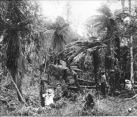 Adkin children and their mother in the bush, 'Cheslyn Rise'.