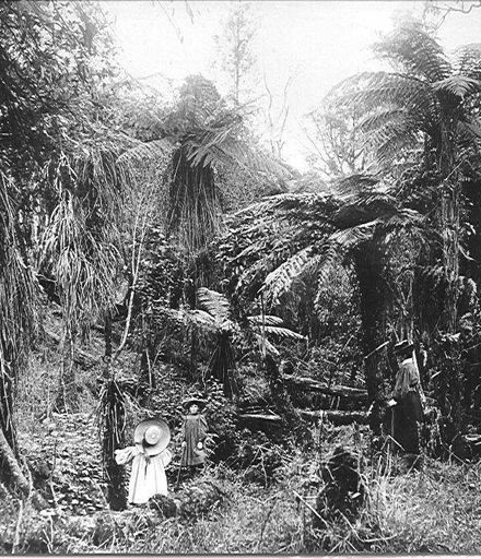 Adkin children and their mother in the bush, 'Cheslyn Rise'.