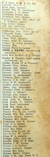 New Zealand Post Office Directory 1921 Levin new-pyk
