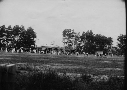 Shannon Recreation Ground (Domain)