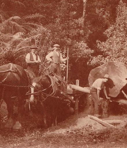 White Pine Milling, Levin district, c.1904