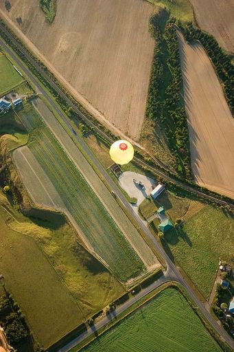 In Flight - Photo by Trevor Heath - Resource cover image