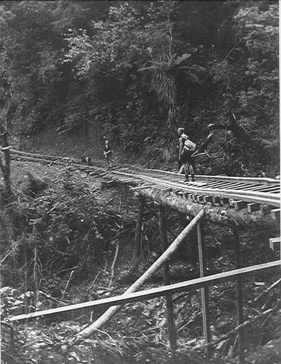 Tramline to Corrigan's Mill, Waitatapia Valley