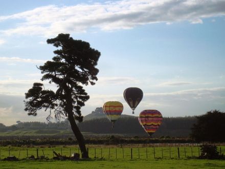 2011 Balloons - Friday afternoon 3 balloons over Lake Horowhenua Levin with tree