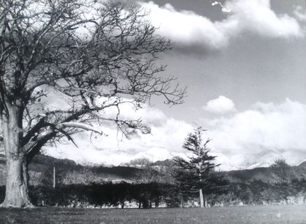 Tararua Ranges, Covered with Snow