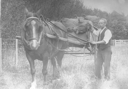 Harry Blackburn with horse and cart