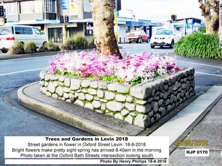HJP 0170  Gardens in Levin 2018  Bright flowers make pretty sight spring has arrived 8.40am in the morning - Resource cover image