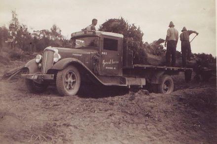 Loading dead trees with roots onto truck, 3 men (unidentified)