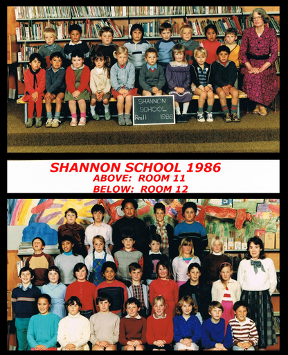 Shannon School 1986 - Resource cover image