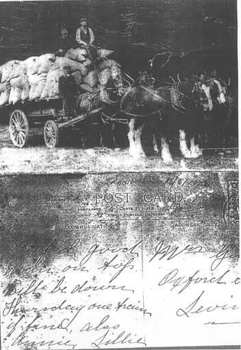 Loaded horse-drawn wagon with 3 men, Shannon, 1908