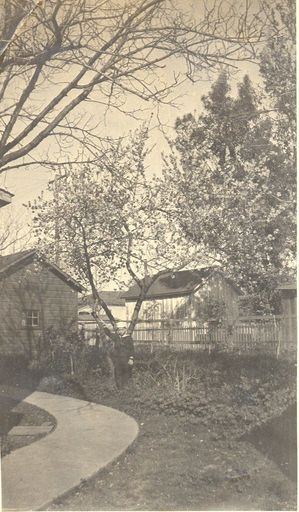 Malcolm Phillips Craig, aged 6.5. - Resource cover image